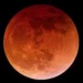 November 8 Lunar Eclipse
