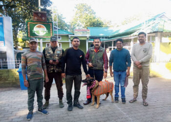 Zobra, the Belgian Malinois