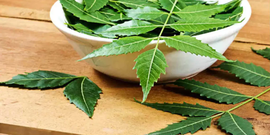 Benefits of Neem
