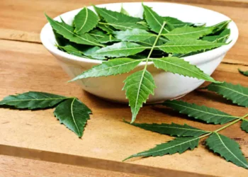 Benefits of Neem