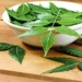 Benefits of Neem