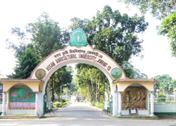 Assam Agricultural University develops revolutionary tea powder technology