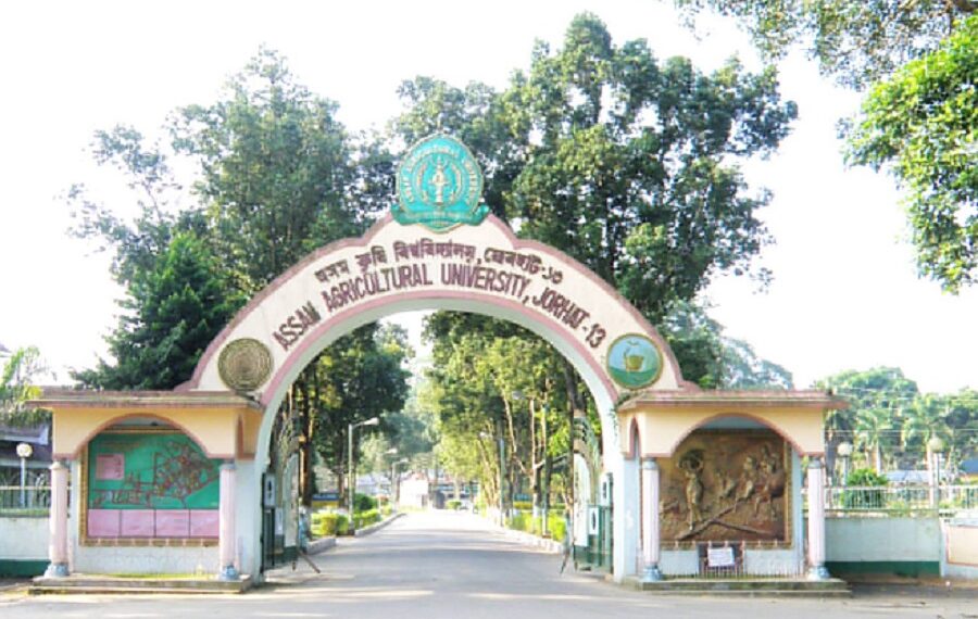 Assam Agricultural University develops revolutionary tea powder technology