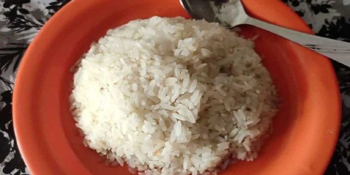 Assam’s ‘magic rice’ earns coveted Geographical Indication tag