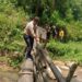 3 villages in Arunachal threaten to boycott LS Polls 2024 without bridge over Hijum River