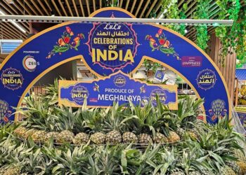 Meghalaya’s luscious pineapples set to shine at ‘Pineapple Fest 2023’ in Delhi