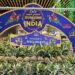 Meghalaya’s luscious pineapples set to shine at ‘Pineapple Fest 2023’ in Delhi
