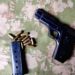 Meghalaya police busts new militant outfit NLCN; arrests 7, including woman, juvenile