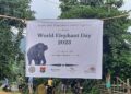 Assam, Meghalaya jointly observe World Elephant Day in North Garo Hills