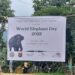 Assam, Meghalaya jointly observe World Elephant Day in North Garo Hills