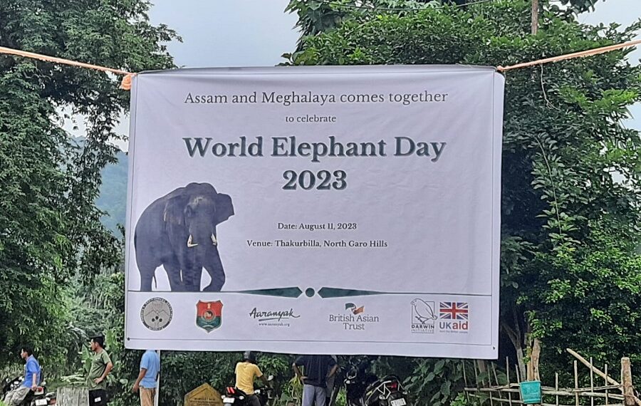 Assam, Meghalaya jointly observe World Elephant Day in North Garo Hills