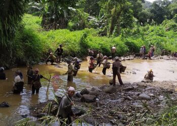 Nagaland empowers youth with 20 icebox-laden motorcycles to boost fish trade
