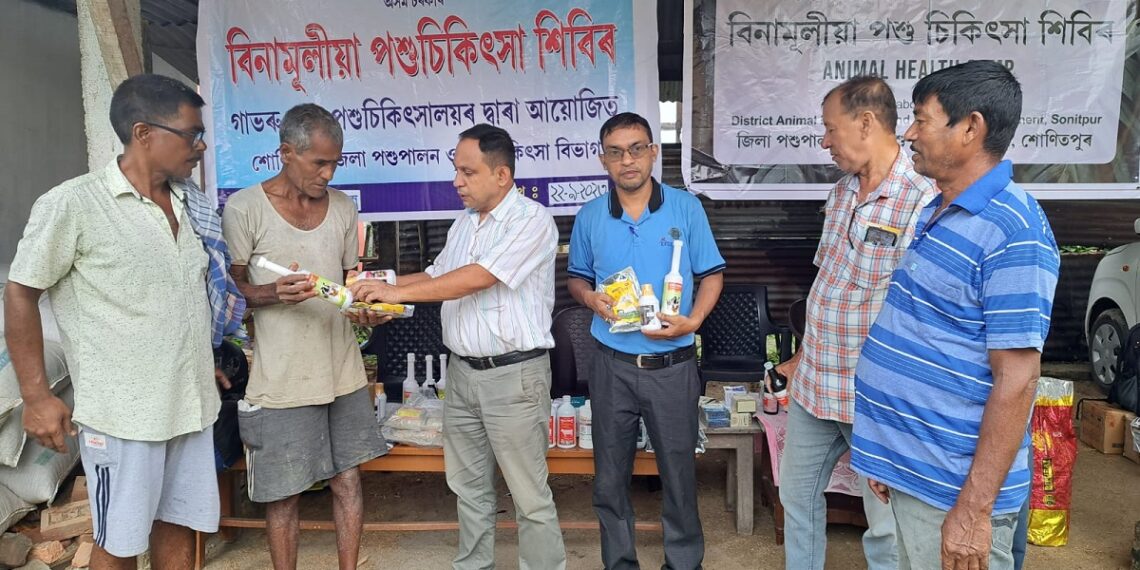 World Rabies Day: Guwahati to commemorate with awareness drive