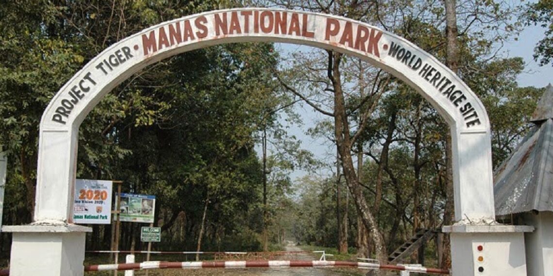 Rhino horn recovery in Manas ignites demand for thorough probe