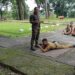 NCC’s gruelling 10-day training camp concludes at Assam’s Masimpur Camp