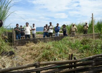 Assam’s Manas National Park welcomes 18 more pygmy hogs