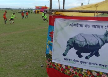 Assam’s football fever fuels rhino protection efforts in Pobitora
