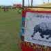 Assam’s football fever fuels rhino protection efforts in Pobitora
