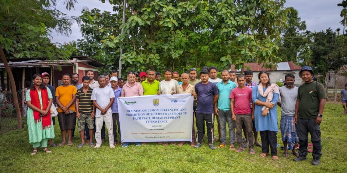 Assam NGO adopts 3-fold plan to resolve human-wildlife conflict