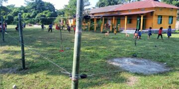 Assam schools get solar fence protection against elephant threats