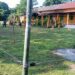 Assam schools get solar fence protection against elephant threats