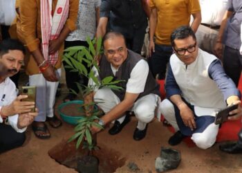 Amidst tree-felling protests, Assam CM celebrates afforestation feat