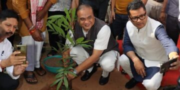 Amidst tree-felling protests, Assam CM celebrates afforestation feat