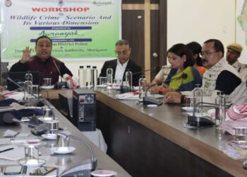 Legal, forest authorities unite in Morigaon to tackle wildlife crime challenges