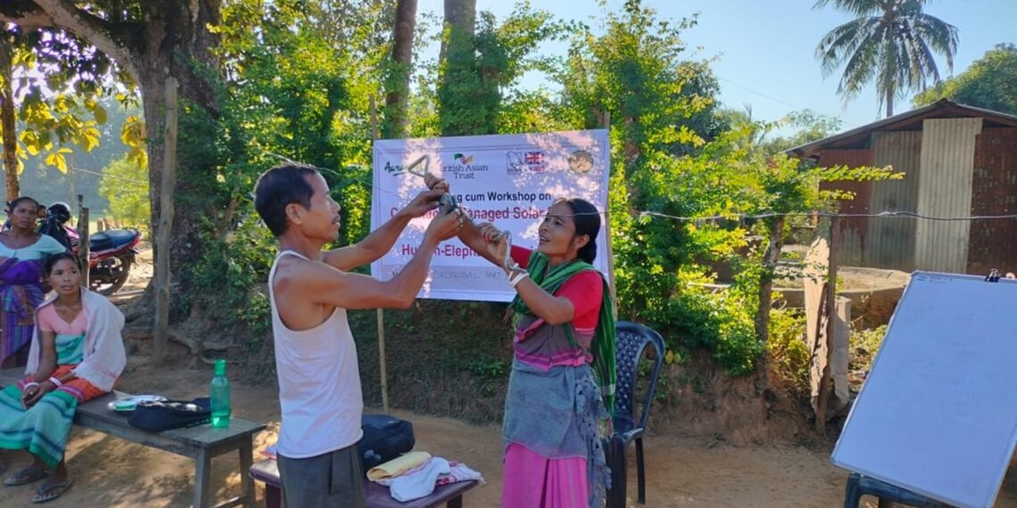 Solar fence workshop illuminates path to human-elephant coexistence in Assam, Meghalaya