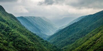 Meghalaya govt yet to utilise Rs 100 Cr fund for environment restoration