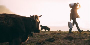 Assam’s White Revolution: Govt plans six mega milk processing units across state