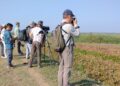 Awareness campaign casts light on Assam’s Panidihing Bird Sanctuary’s biodiversity