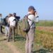 Awareness campaign casts light on Assam’s Panidihing Bird Sanctuary’s biodiversity