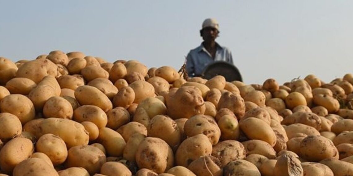Social investment firm offers ‘Northeast fund’; aims to empower NE potato farmers