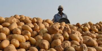 Social investment firm offers ‘Northeast fund’; aims to empower NE potato farmers