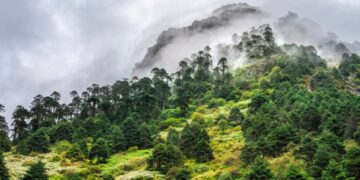 Arunachal Pradesh excels in tourism, clinches dual honours in Delhi, Gujarat