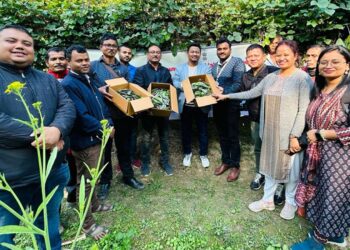 Assam exports 5000 indigenous lemons, 500 kg lablab beans to London