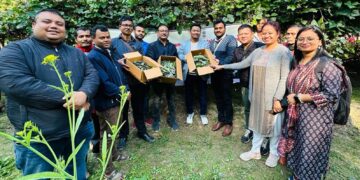 Assam exports 5000 indigenous lemons, 500 kg lablab beans to London