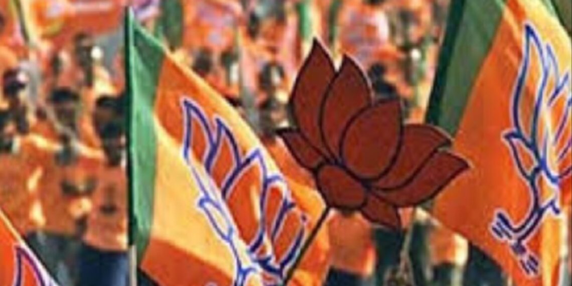 Assam BJP expels 15 for going independent in Dima Hasao Autonomous Council polls