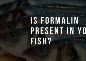 Gauhati University researchers develop kit to detect Formalin in fish