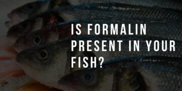 Gauhati University researchers develop kit to detect Formalin in fish