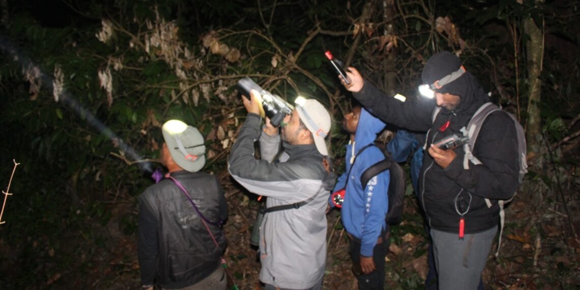 Into the wild: A quest to rediscover Arunachal’s elusive Namdapha flying squirrel