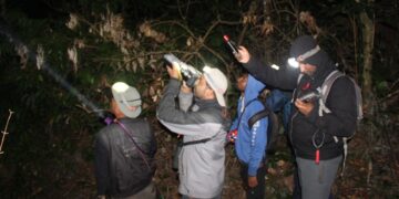 Into the wild: A quest to rediscover Arunachal’s elusive Namdapha flying squirrel