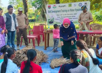 Workshop on water hyacinth crafts empower women near Assam’s Kaziranga