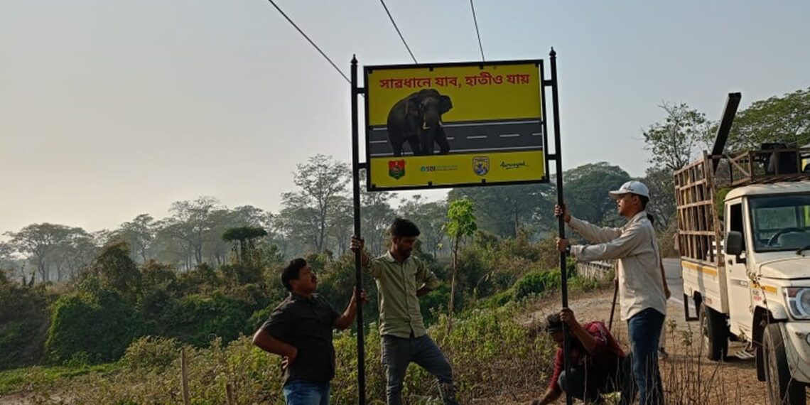 Signboards to mitigate human-elephant conflict installed at 3 districts of Assam
