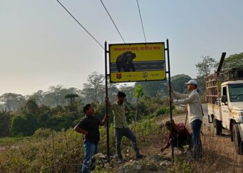 Signboards to mitigate human-elephant conflict installed at 3 districts of Assam
