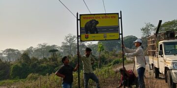 Signboards to mitigate human-elephant conflict installed at 3 districts of Assam