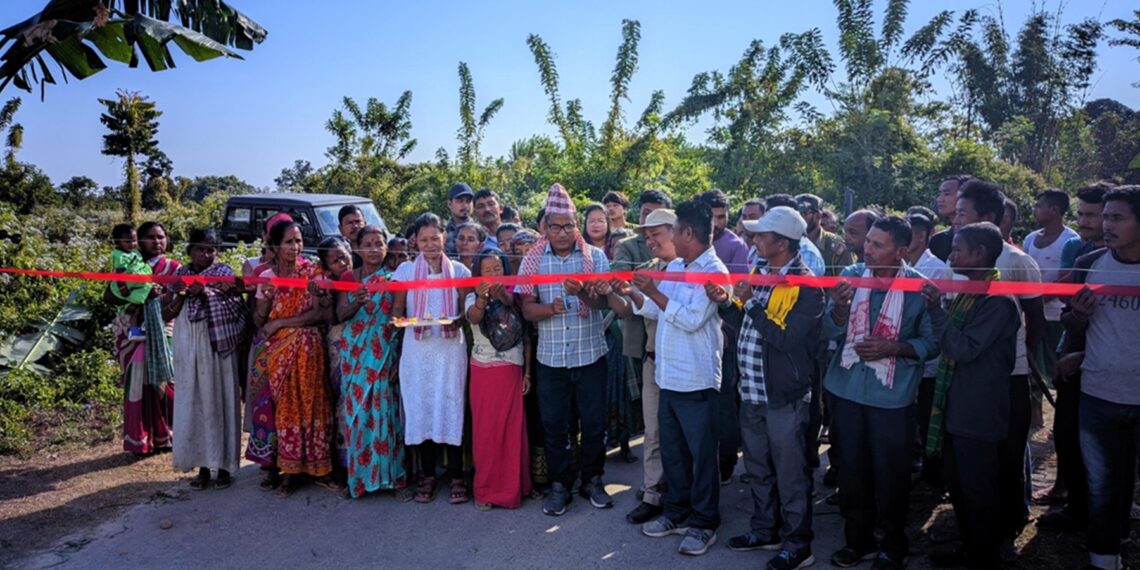 7 km-solar fence erected to curb human-elephant conflict in Assam’s Udalguri