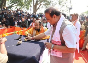 Assam’s Bulbuli fights returns after 10-year hiatus, CM calls it ‘quintessential tradition’