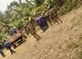 2 unarmed tribals killed during Bangladesh Army operation at Chittagong Hill Tracts